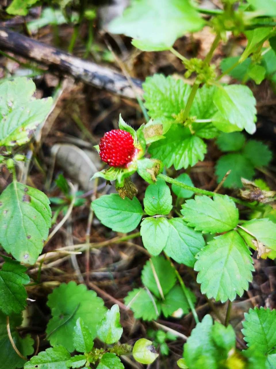 1wHuEZUYzKZFT8HxHJQq5yj8Nc2vMLZaH811isA_5Eqgkiav9qjr408EwroiygwZ