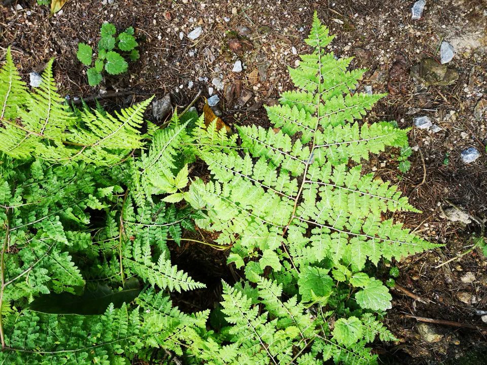 vND5-XyOdxLbNXI3tNceH_65PGSb2M13bAYkojQty5AFbQ7FHQ8dSrR2cgxAq9xW