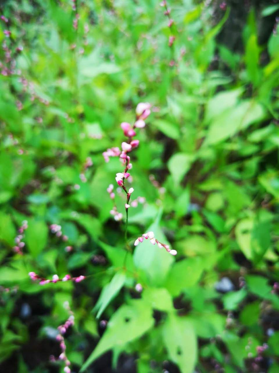 vJtJ7jly8RHdsnihiOQ1k52EaROur0a5kjavEIuiTTLKxI2QBPYIVoHx7ISrPIqr