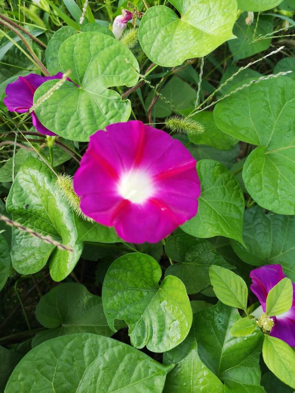 MUSDl-l0r75Szt6gb17soZiqIFR35DvPnJdtHZJoEW4utkFg_MSekwnM7uvw5GzY