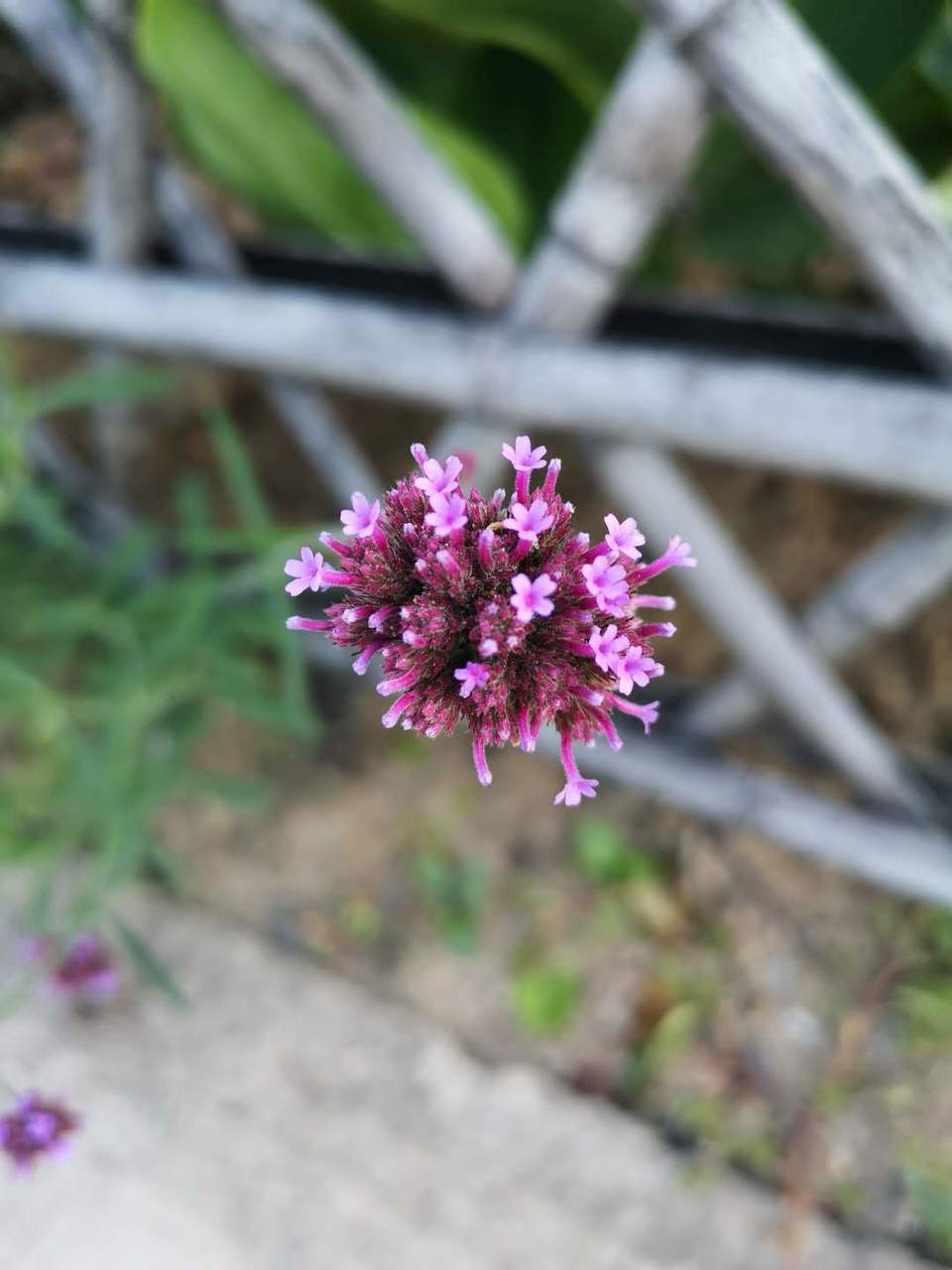 hDXB9p32mi386UpDBA5OF3CB8aKYehxpZ260N857NlFDq8ns7sQuPUPIYHm2pWTx