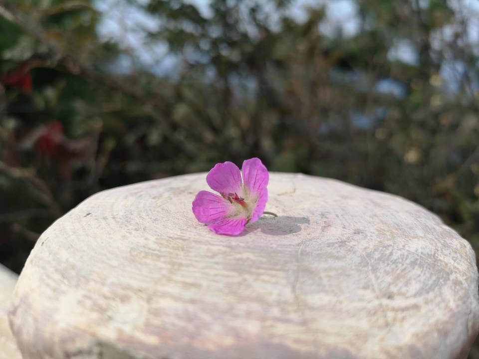 hB6nSoAfGMmuKeBq_PwI2WAwJwDR25JrQz4g375Peyp4KdDuZR1zO26PsWDI_GcN