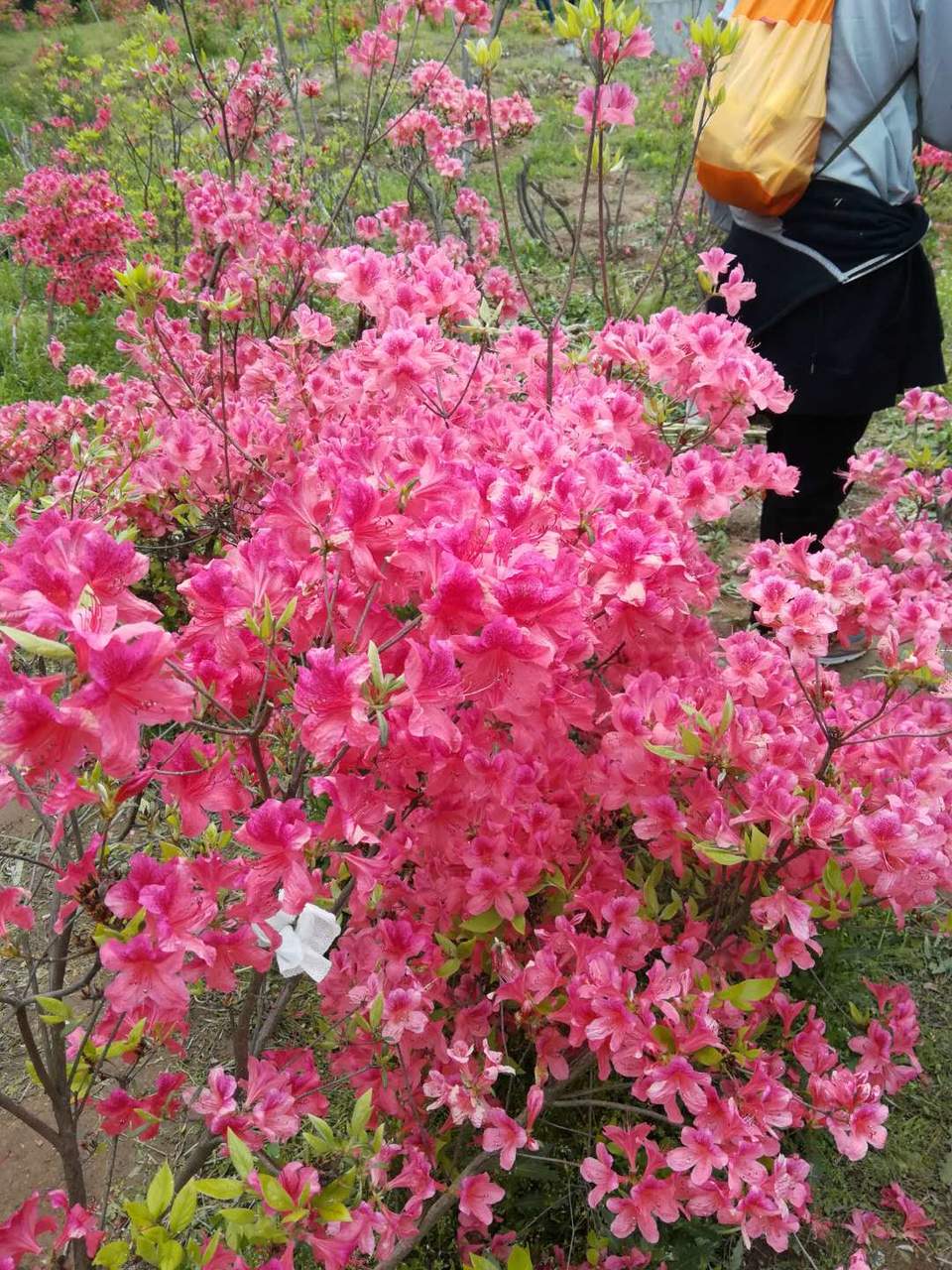 PP6nU_RyuNJjwoZI0IGFtLd9Q3fUJdxEqsjsgeKjB83YN2xwfkjf0AOheNydd51G