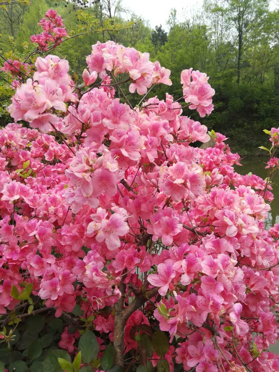 lfLU7hiHgOPg8v3aAVUGgNR0nSe3HCsHO1VLe4-P6VQLe3HAsE5_dWm2LDxfmbQb