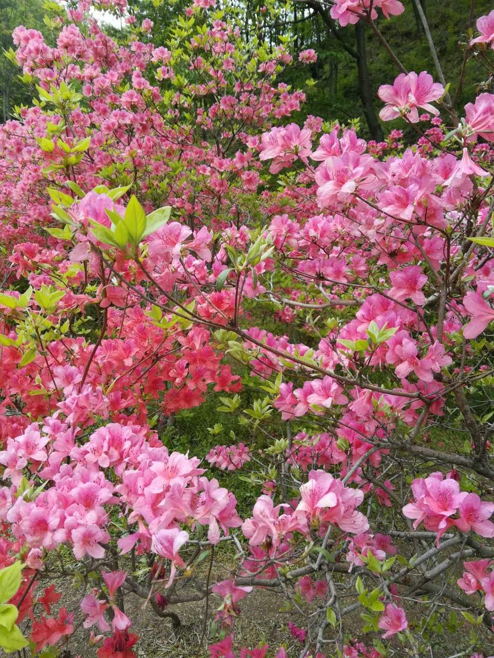 dxag2_d7P773u2Xv2k_hIU-70cr-1BHkz--usNTjIapKV9Z1wp1tKU8zpn_2Psu_