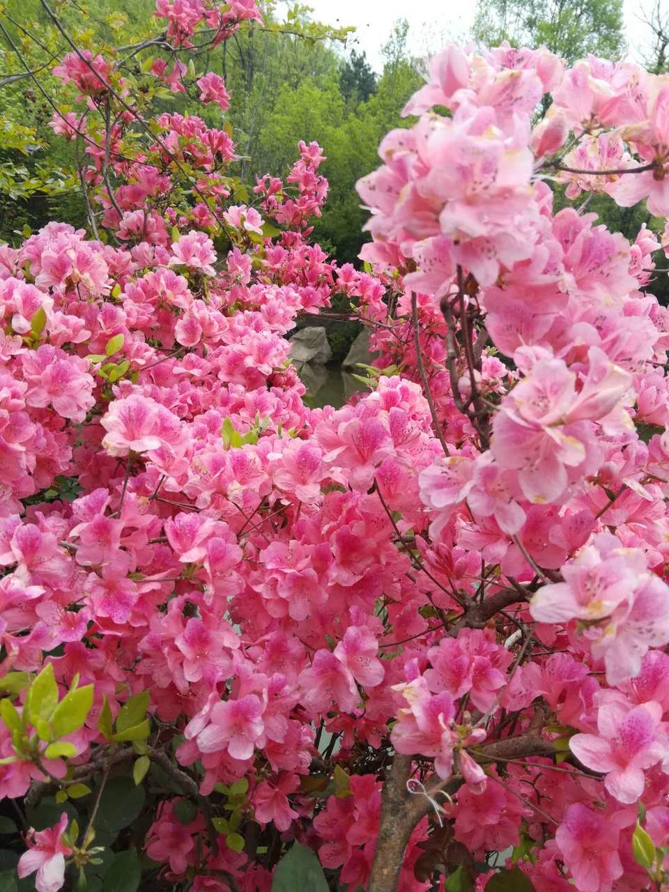 u3jLQ75tWnrjzr6UYbbpnAhyfF_T0_GmEvYVPgQxdxu5DOVBFkPBrI_4GTN5oV5r