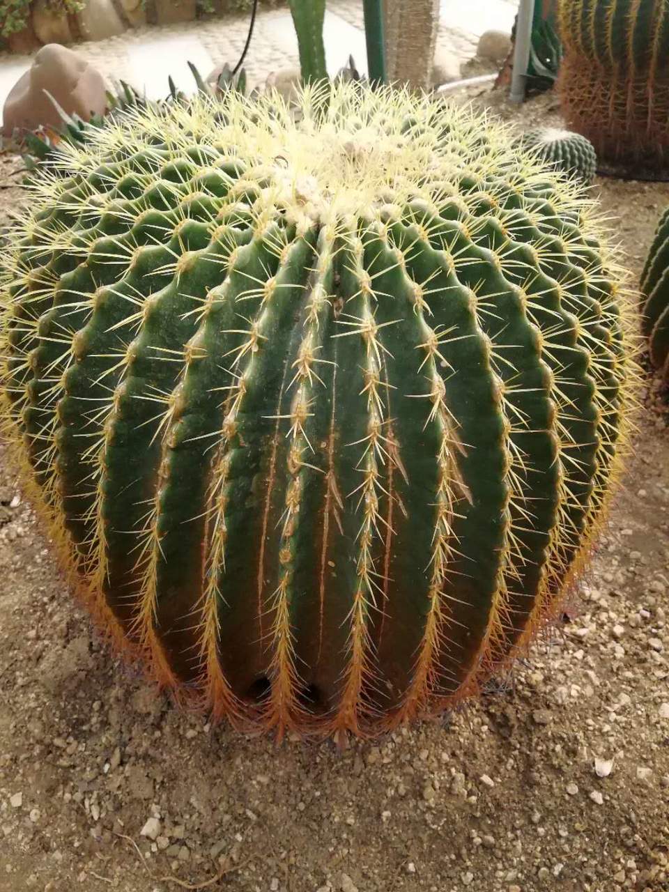 5YrIWz89oD-Npx3skuX6RnGL2CgbZvcr-47WFBNKWBr7uASopXopSfib-Pv_-ujF