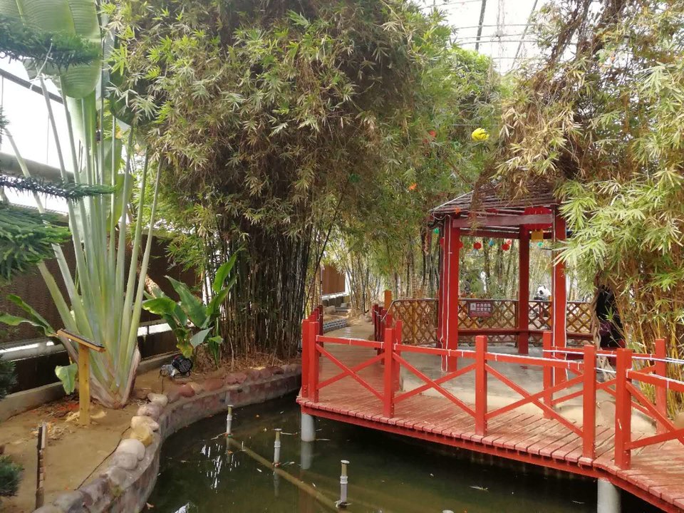 JPhqqUTSlG4S1ujt0cPht6j1dxV65YqkGhYJm8OBoQYbGYjHFScVPQ3GUg0Qki-E