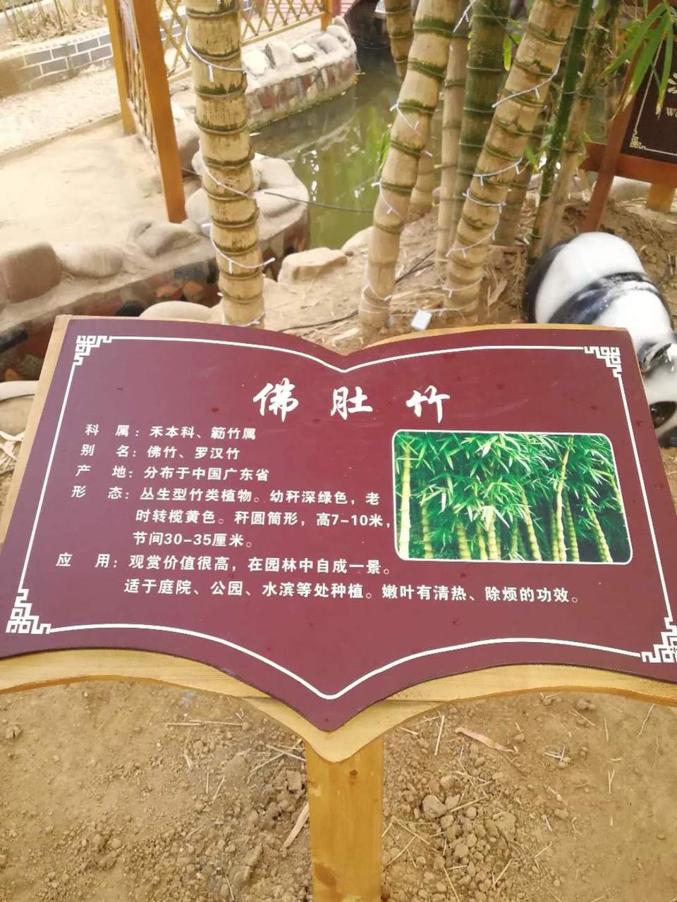 IvK1xezPT60g0phVfwgfQfsPI_CoiRJRgVLLzTgPRoYLVGAmJ6EUffDsfjJJyRJZ