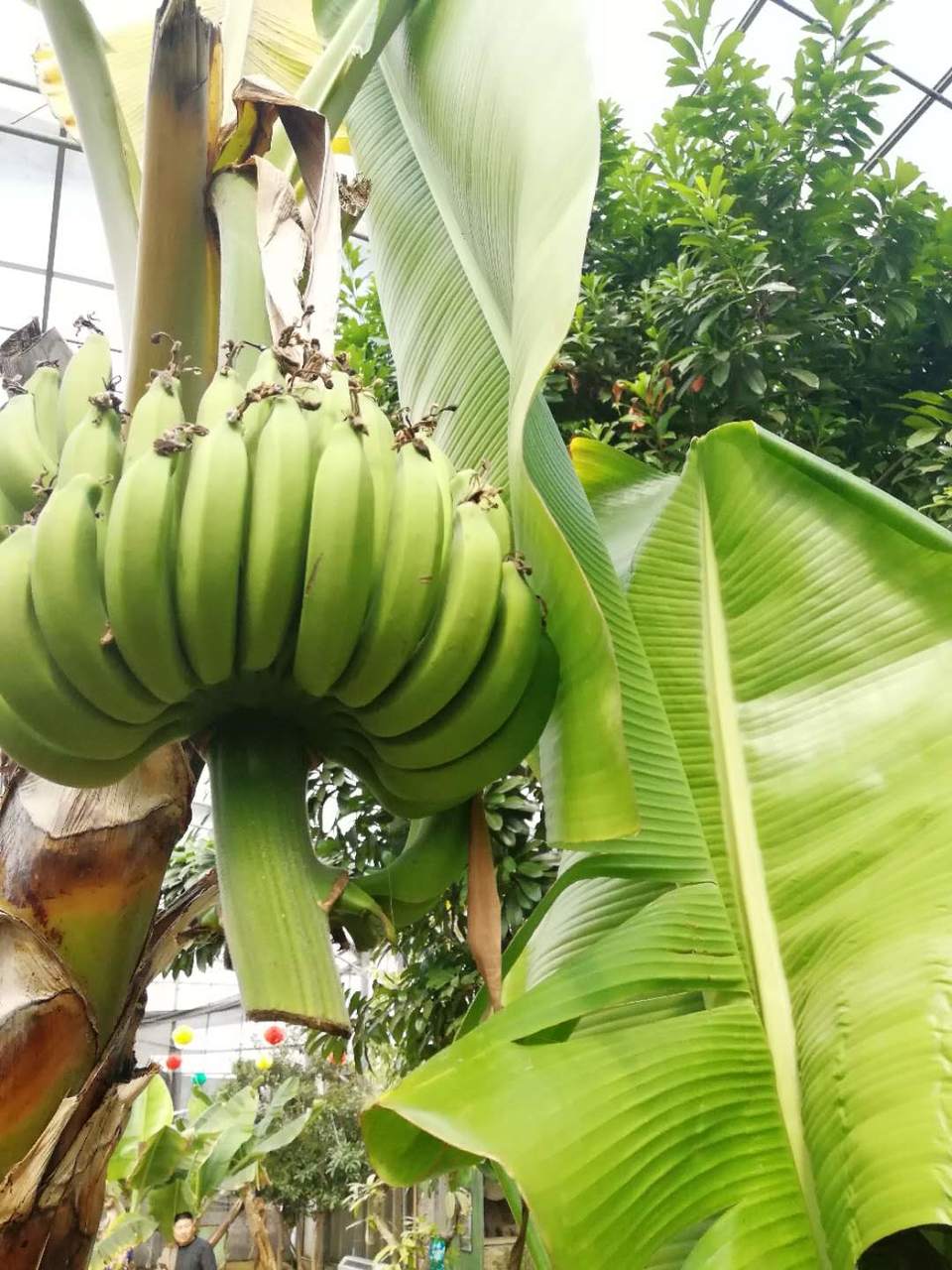 2bpJ53TOvNZhLzUM5iAGXJoojbZxAYm9NQlt-MuAqNODIoY6U7jtWYeRdgkBP5NA