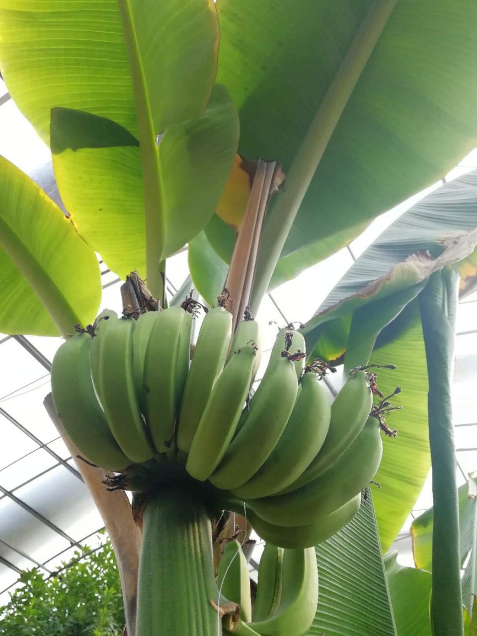 xBcgss-Qm9Nvzb_b5uinHf_b_TQq-2Q4QmeyY0YHBTDdHFq8SA18txaLRVWrkQbZ