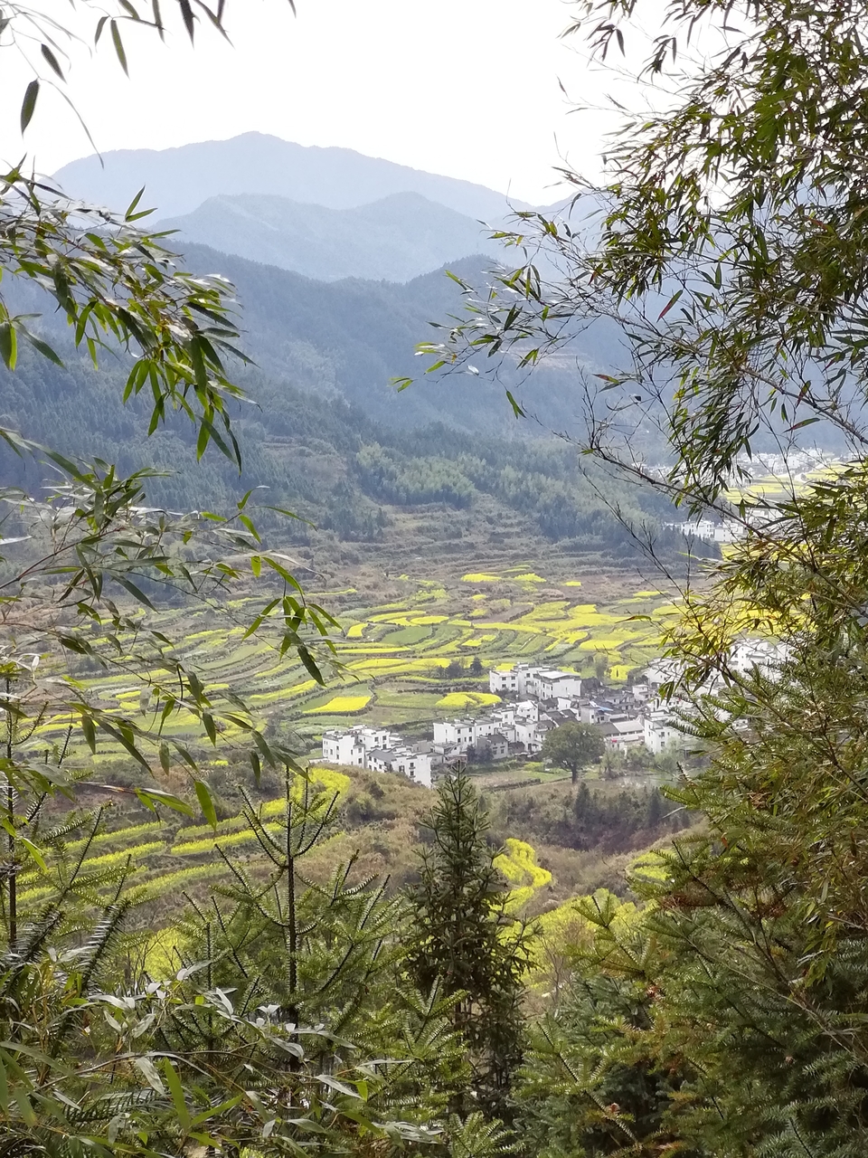 2mClrLQlSwIr1cLZzoEmxFiICV8PQ_Fth6s0wlzTLlnI85Pu8ADLI5nlqyUyY_oj