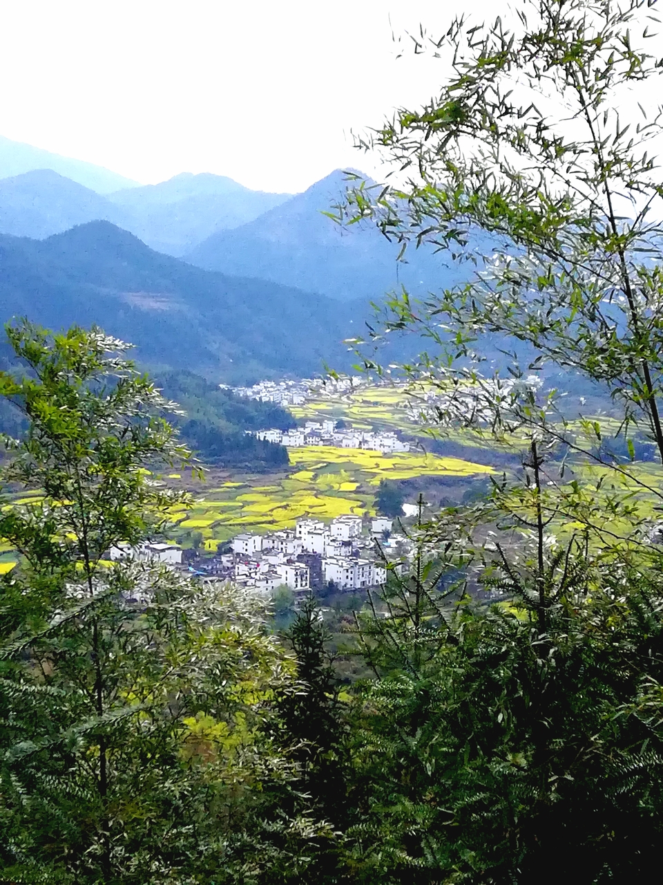 wyOSMdkLbJm7H14X_tyya6WimT3DSJO8TvOclQZbTIgg5aaL5abTk6QroTXh6ZqQ