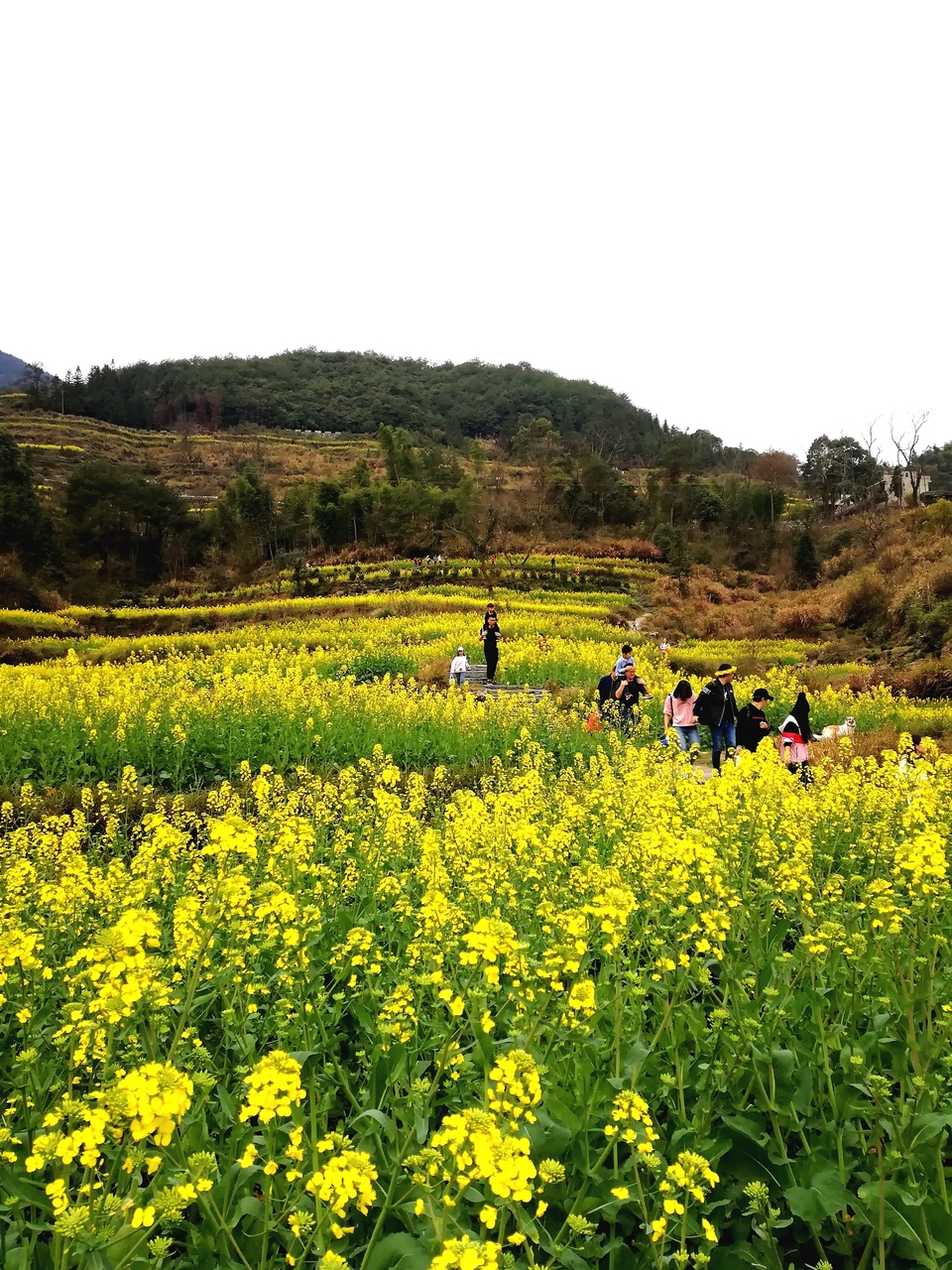 00Gw5y1SJIi4JlKfNvKRvxHroIU7igoY4AamxTWRi1DB_so27Owjbzm8SBdfV3WS