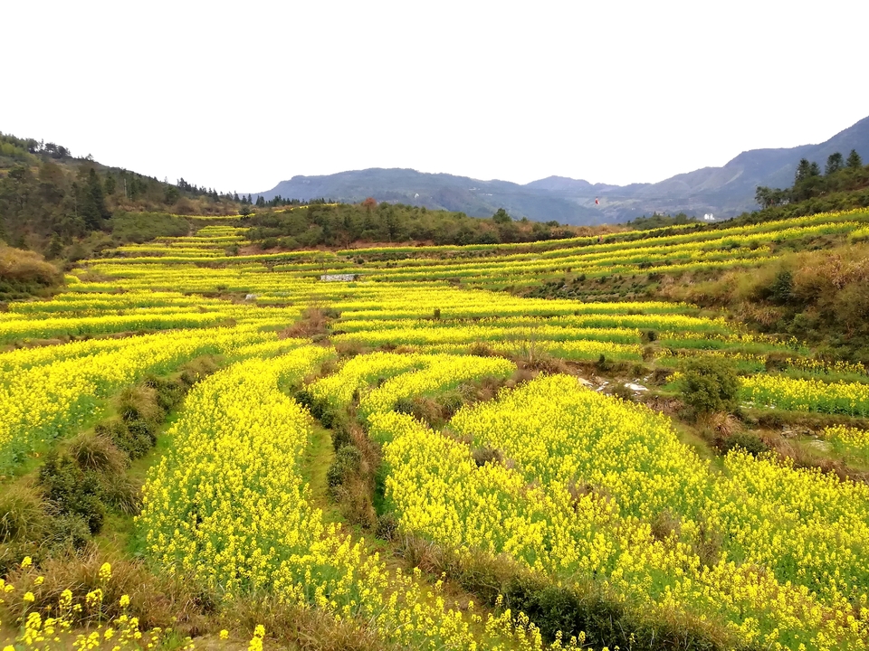 KaRIUiZ_jvHatuUNTLwmLOYdrt0gRLuzNCyRyNnaQhV9Sew1s6tzjeOr39-yhxN3