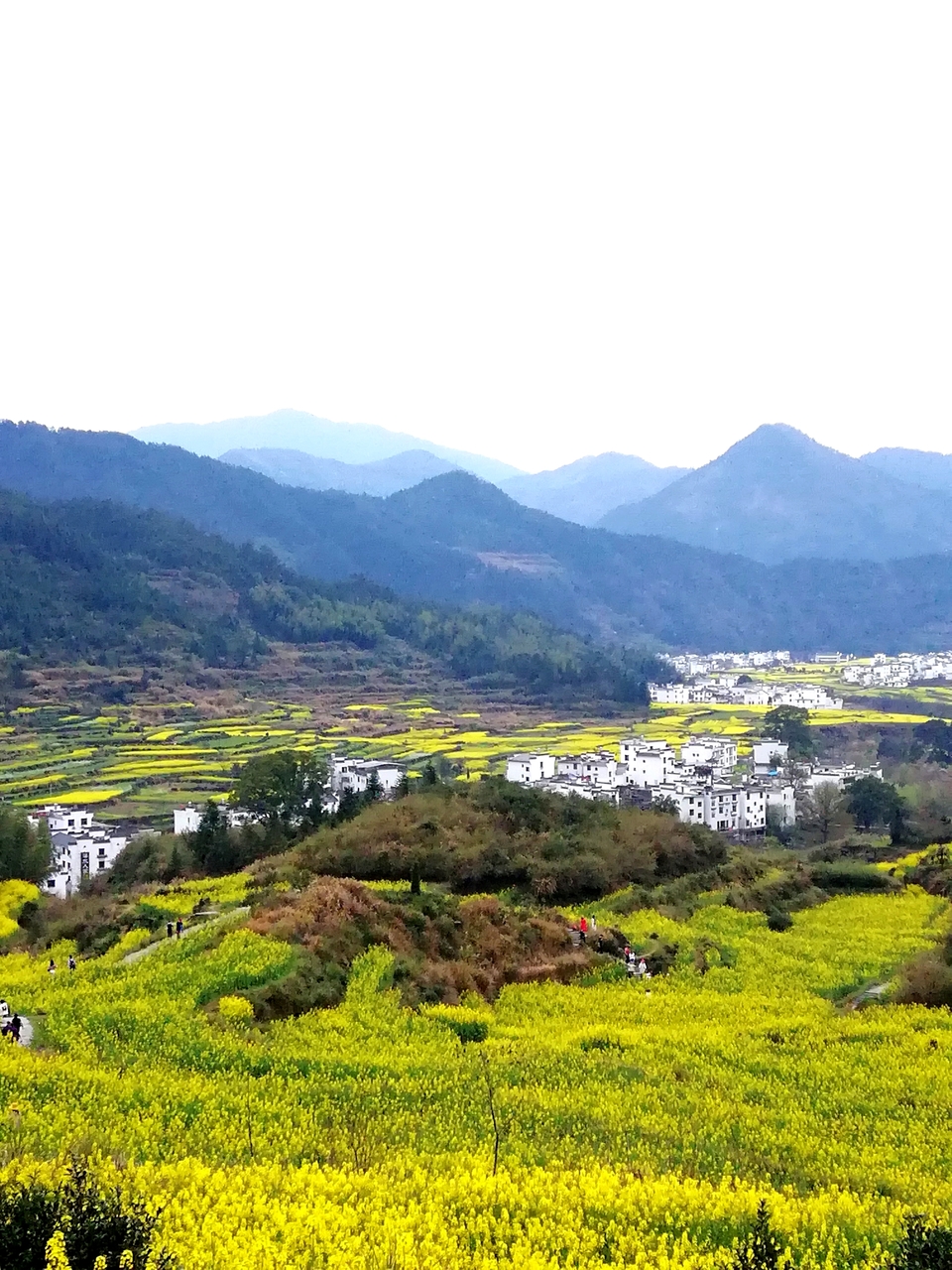 3TeAZ4T7ET6ooY8-ByPM05kk0J5nA5QwpXho-8xCVe0It6OkSQpfDU51E43BaXhj