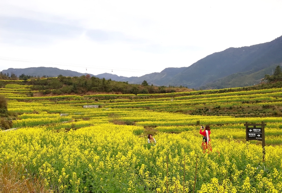 jxfLzs9GPd_JXTz3QQuHhlhyjrLn0N5ygwFBknM5V2ZFhDJEj29jSGNWP8pbMKHs