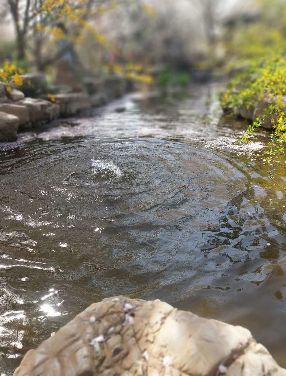 o06mKK7Bwwv_GruNR8UxzPOMMHMeDWYlJML_OQba7EnNyiRAPutdZXBDAQuvapw2