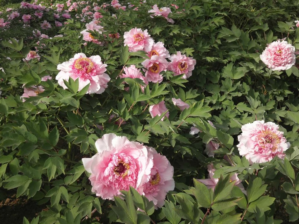 UEdMZFiNfi_L5NTVrx4e5Xy7OzUCLbZA-pL9lFwtSM8iTut07B3Jgr1q0zRC7Bvt