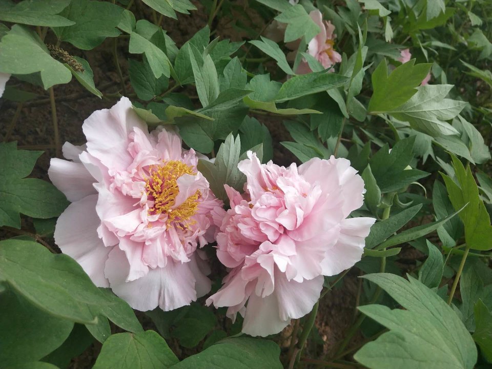 O2lQ1g7lwWFtTZe2Z7kLiRphi8ckRZt5HwHaUUgVFreHc0uPwzMr8LloFiHsmEg9