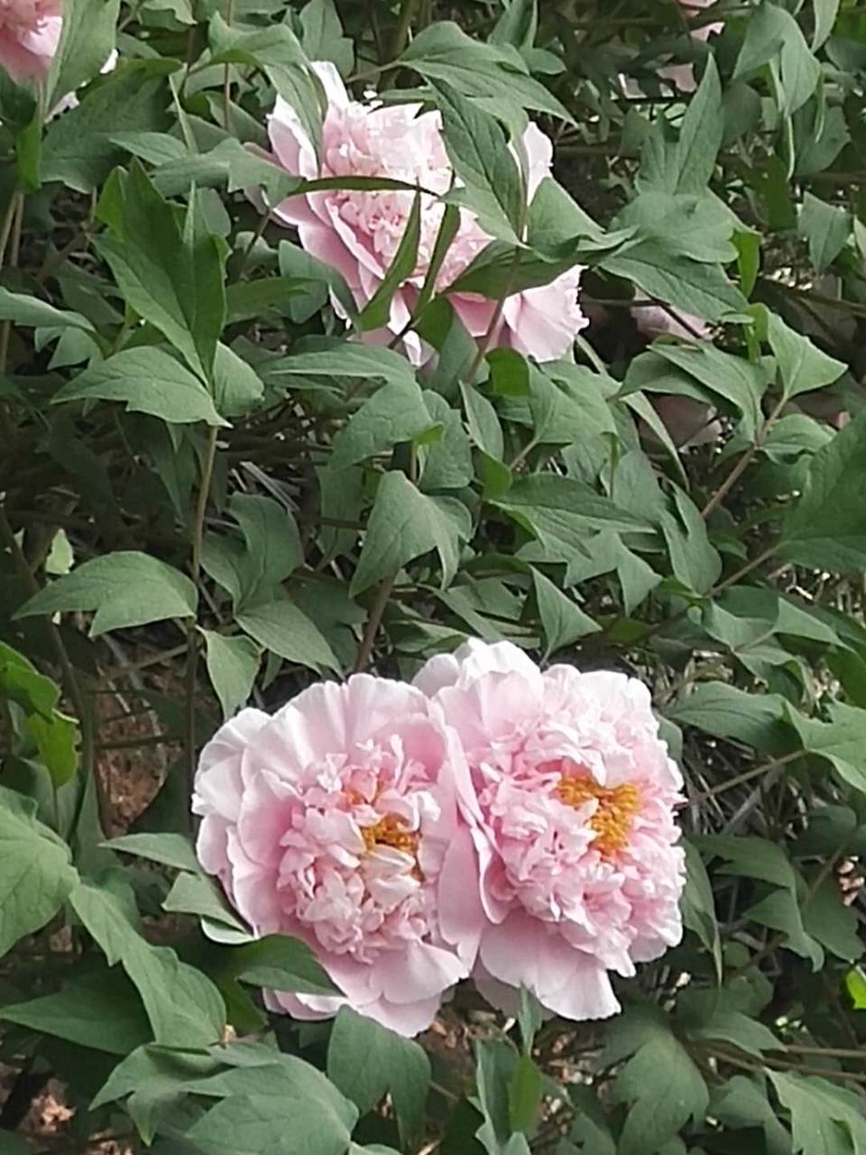 8gjeXA8ZWJkLG46k0uRAguD3UqH71dm2hAJ8XZ-nw3IGQ9DXL3SdhnBxpXpKYUOu