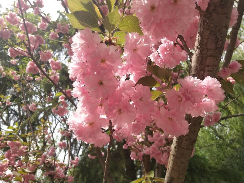 kwXIZ_n9D-2n-Vm3ZgeSU4b6PexP-_xM-0JBvngZfS1rCnI93TABtkMODRqkK092