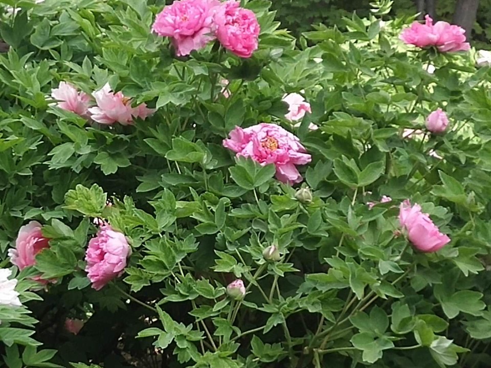 1I7AM_nWk-cWe8mjCTFRzxcPVBMuTcdMrlSnx-liNmRahRA07Tqv3Hl1bFQ6lmhY