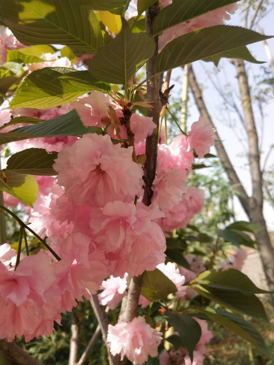 z62C9KJxXa-GSQ_1_3P5OVo6qsl_lsiNx8nQwvHG80telr-jwKDHzoKEB4Ic20R9