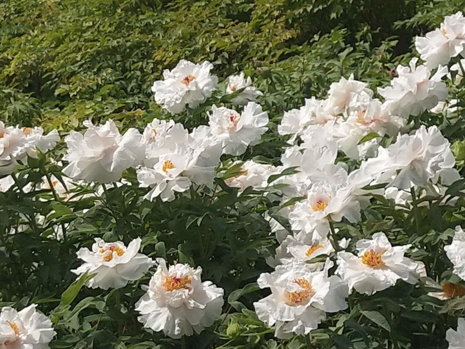 VHOhbVbnbVAZimCWi3NdhWbrE1qMFised0KAmms3dt6aZw9lRUqKiLMOcYqws19D