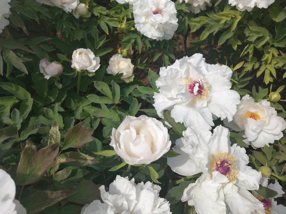 cKrC-DNLWy3MkSrp4WFGQU7di0Pkgw32Od7EjV7JD3uWGHD4tCr9aHjOT1LMbngl