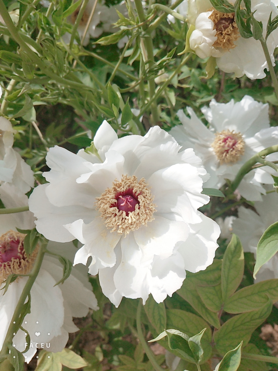 czDUrUs-cGUhD25nBKy5lWjNWfohhKccS66Ytc95PzBxNVVGzRsZ15hYpFVgrBZS