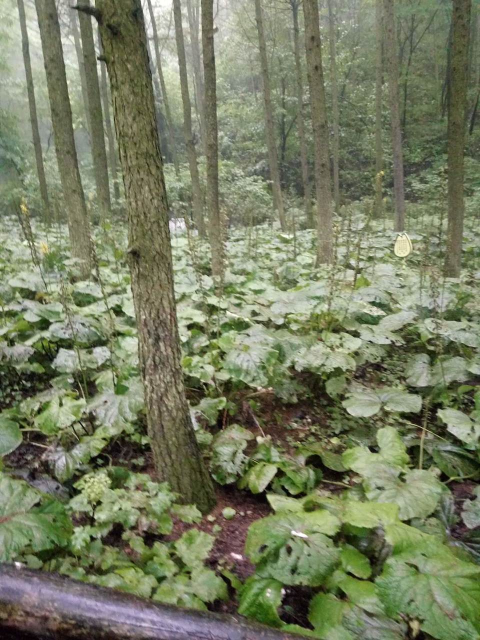 zwwCiFnLmfsyF13BV16-6qqQ_8acANK5Kw4Zuqaa1gAN8rEFe9dgGS0OVJoI4DY2