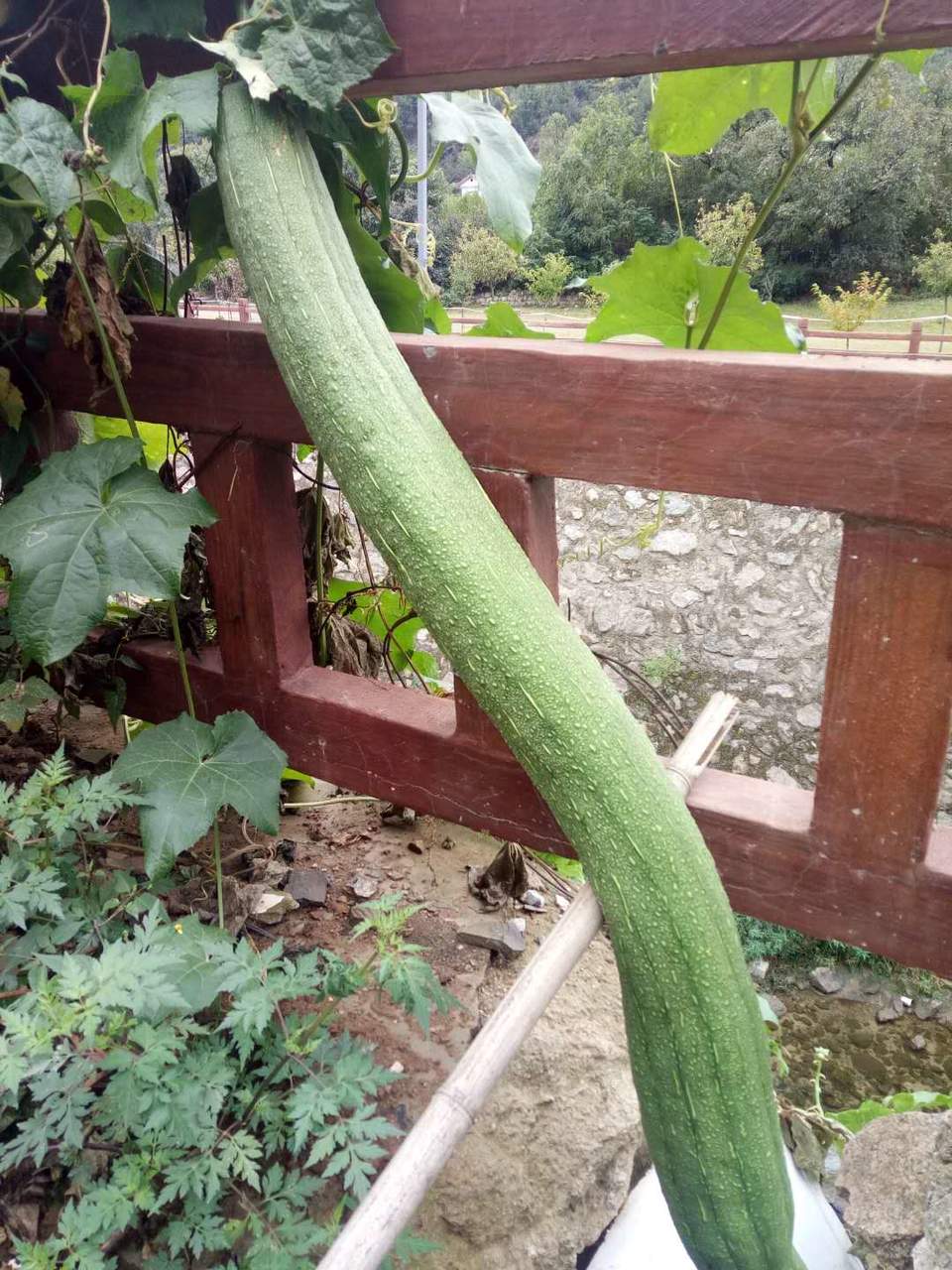 kil6xt6Gvzotg3QDlXbNUtcqPPKnIYGYT04Bbn6joAMgGE4_FEd1blKCDAPFaEgF