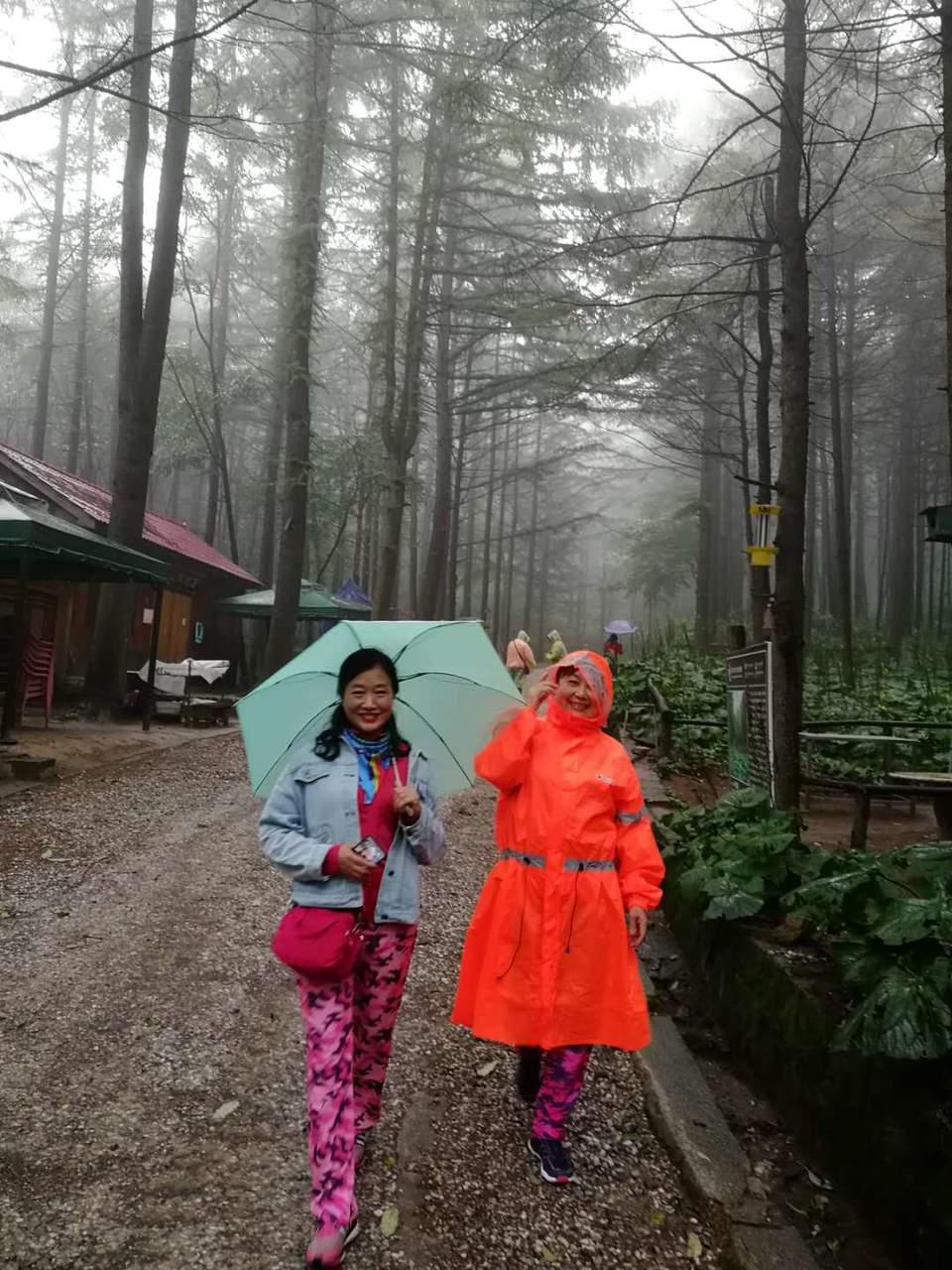 ve6y9mGh7W3nmMg_tHoqVe6BKraUjXBCOVd3vjtBPoH6q4toLh2gWjEiwZoMeGe9