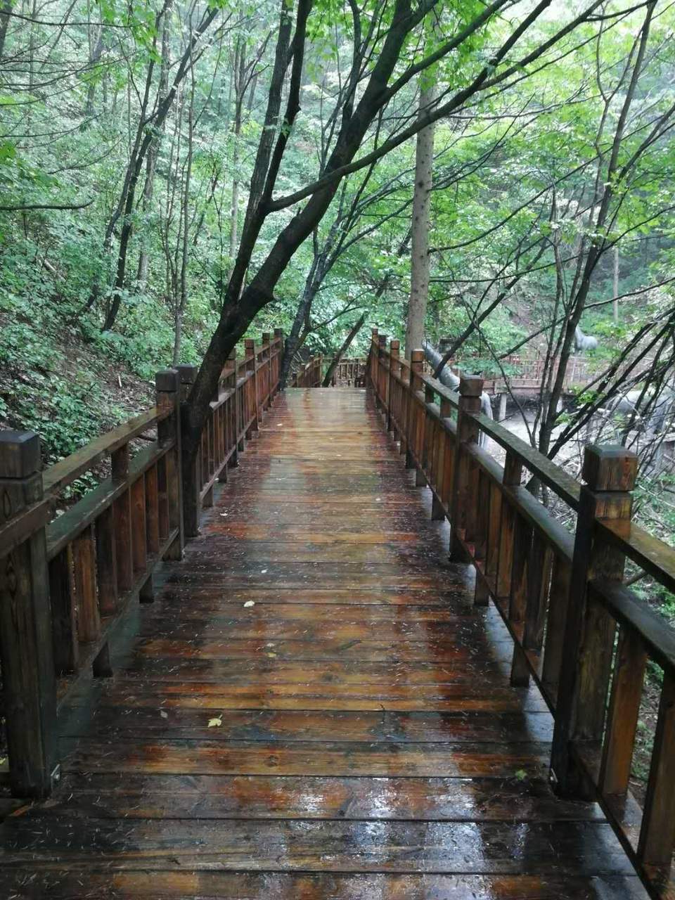 AgqNU8eXsgF7xK9L8RJ4TqXaxkTAjNO_y0Q6TZ-PVpuwxx5lPAtljNq9gsbal9ZR