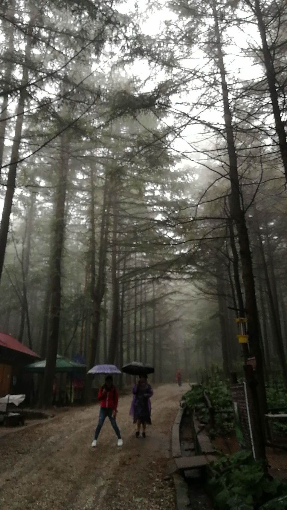 _KACarwnFjyN6eWyyUr_12wwCp5xE1ZzS9h9g5tezUuZTHK2QtIMHA0v3XF2zBHW