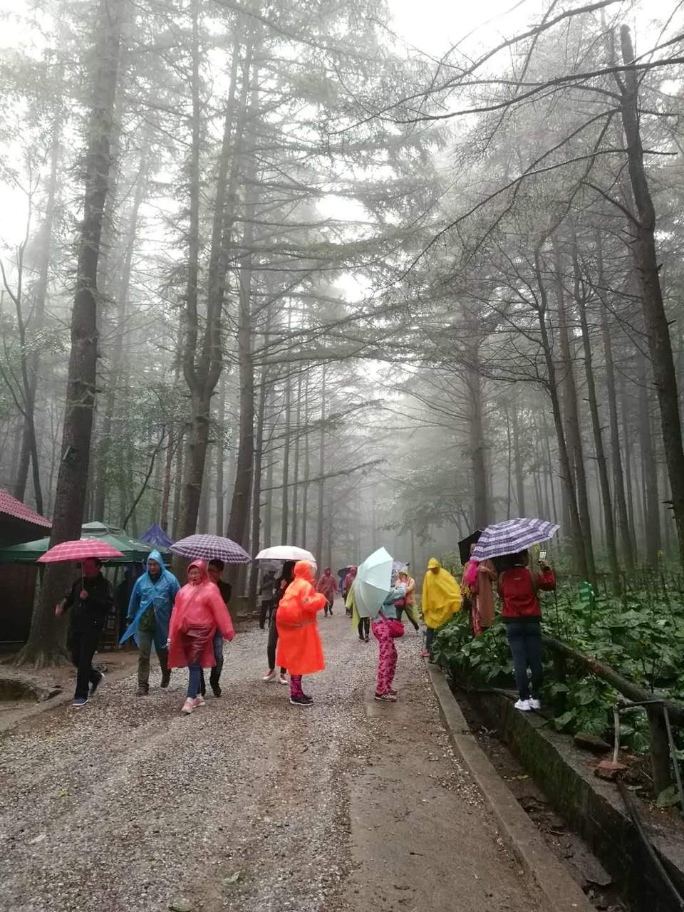 SpnZZgTAPC4_8YrjqWBByui7omylprMQ2rcANP5eV80UPdO8YeYDvzjN9L8oHcBG