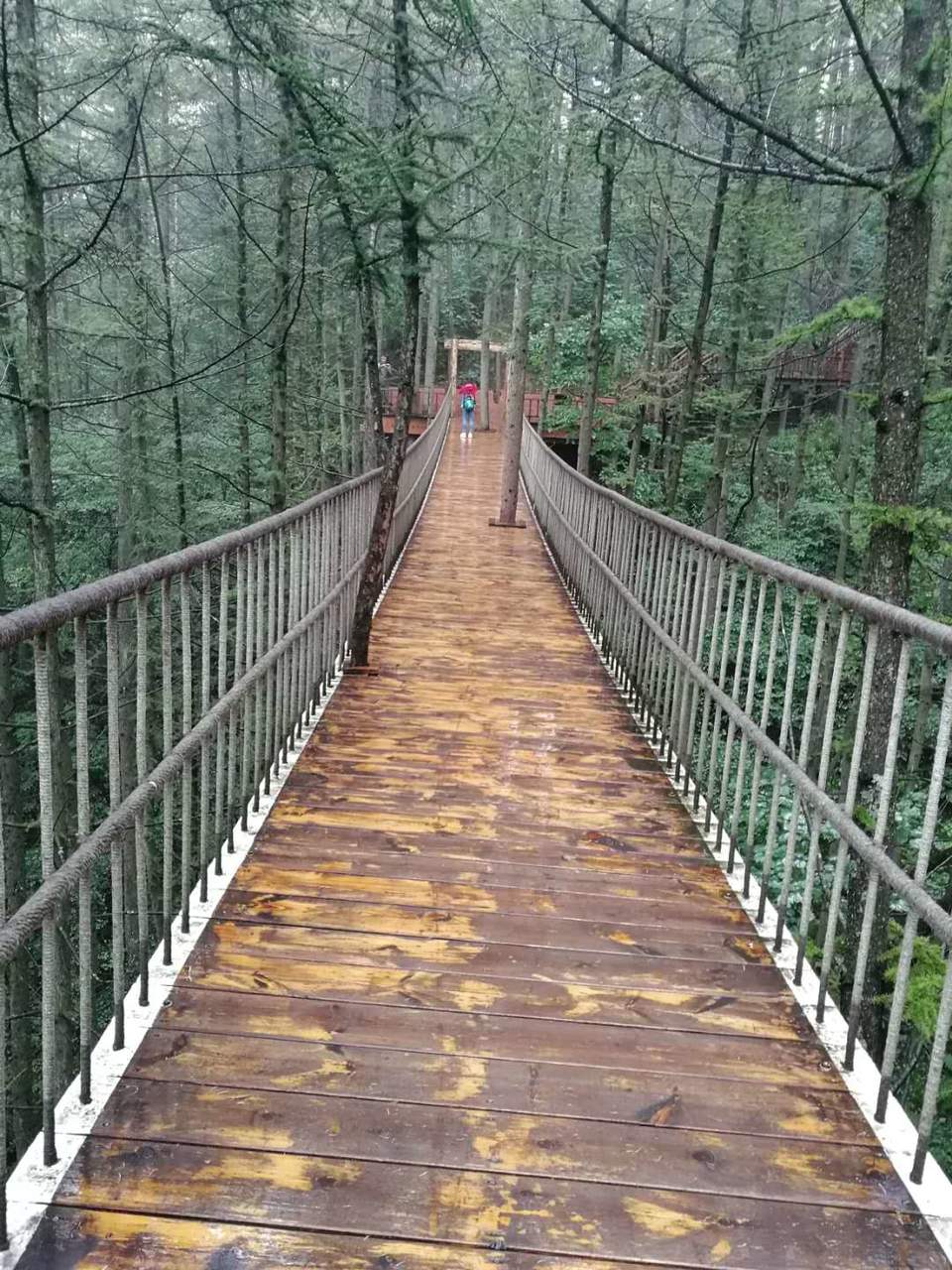 5-Ljsyn53mVk_X0r7shXImlxqRmrMfMtJcmuWnsNZcHBS5MsBi8iknV_m6mLA_UW