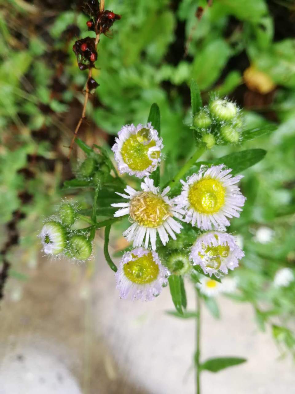 Ybt6M5Heo8Qf6-abgggj3Fgato6fSuWODzphM9TDSexUAhjwgLj_G71XgfbcMinK