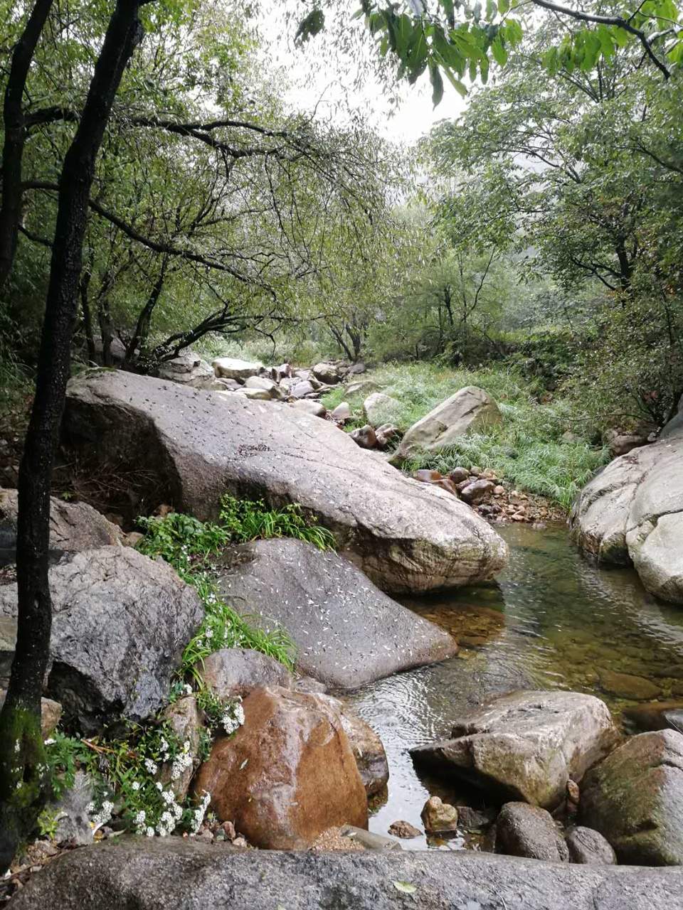 tl_88HhJfuqvl3y5LyMmLZwqwWptH66UY_9vMQdoE4mbS54XLT2JtDp8j9KyLMM4