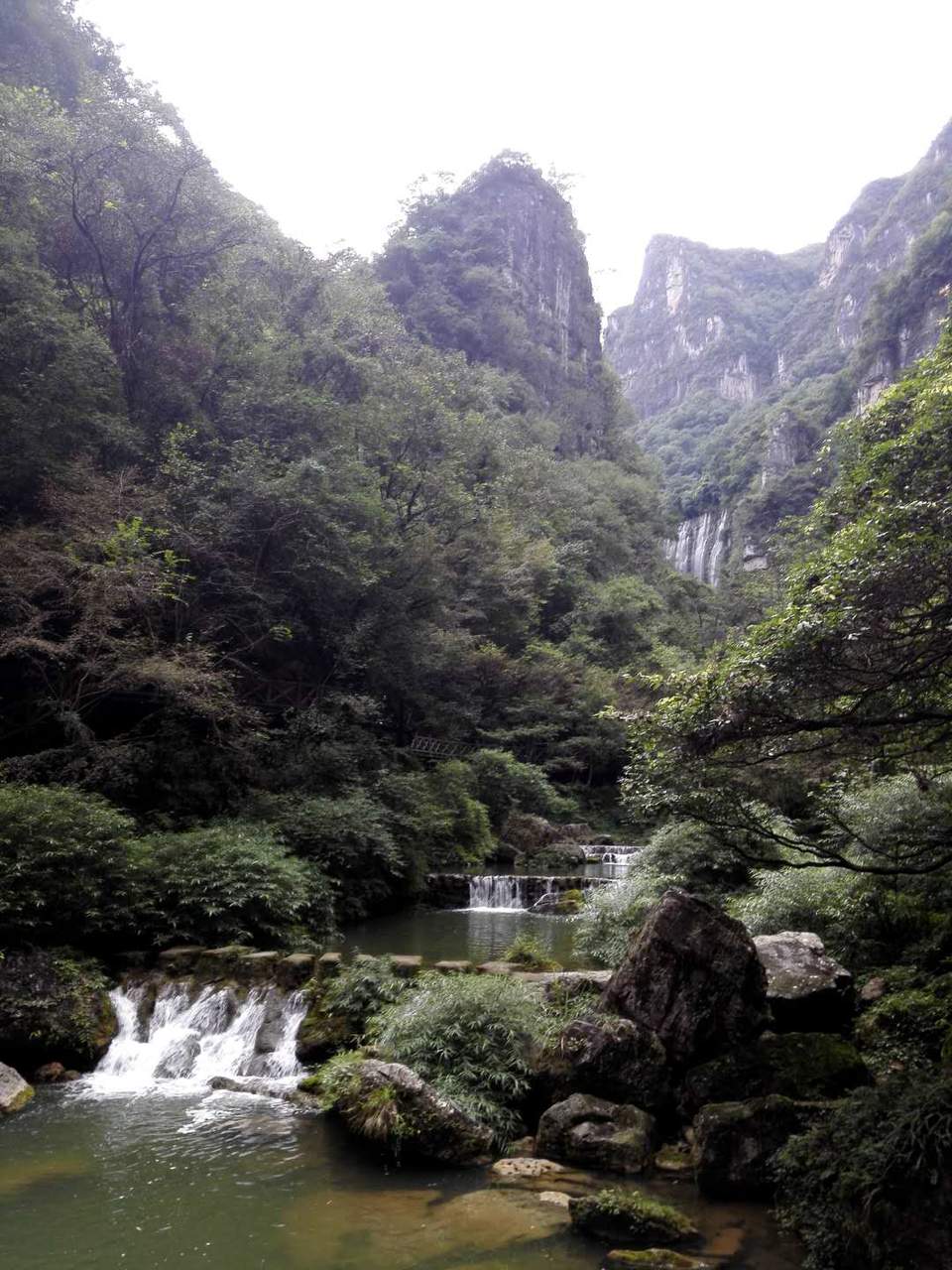 8K-j46925CGh7UvNYDSrHpKJf9hyAWAv2n3svOCcvaq5w9rypIOhYHE1NEsT__Zc