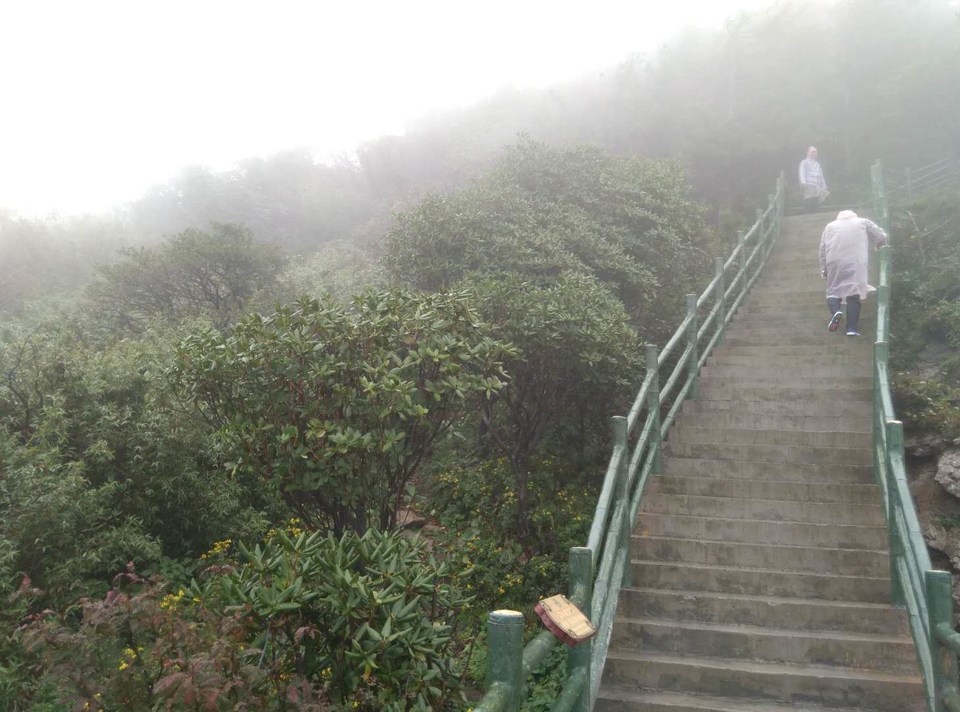 iZZD2zMezoLmkt8gGq7iq07O9dezK-mIgnE5Gv5nTzrbIGJV6c3QSrnbIVBaRzm_