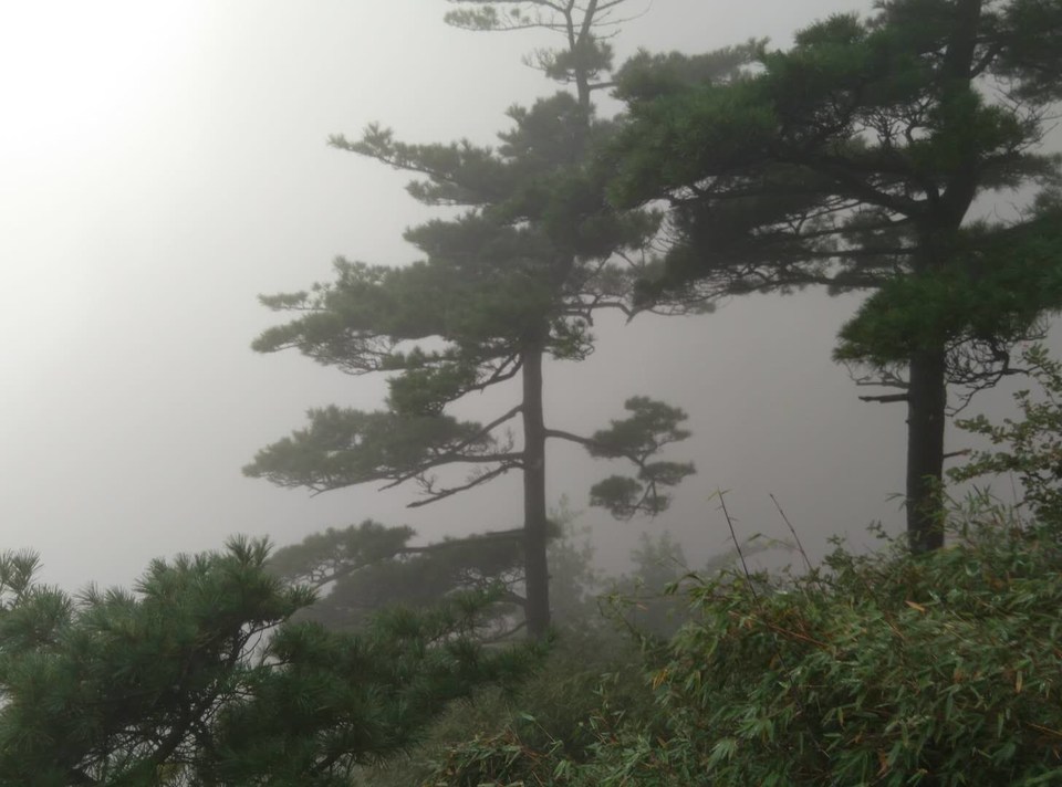 xq5cQ1SOwqOalDWlYYvPji2T-lhLFUJW2HTYLdUy0p-oWFG9Uzgs1GlAlhVjWS4p