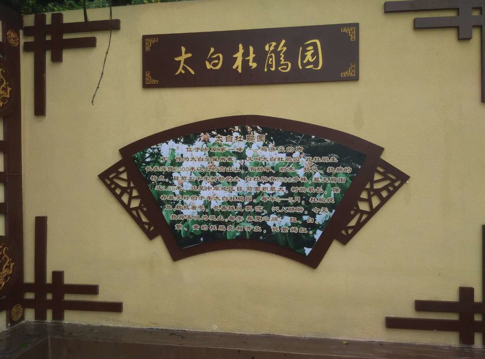 LzPgC12aZ2b-s2v_UsRwCT-LYPXf9r8IDbyCOKw3kDzbTq6JzhYbdMG2Ok7P3tu9