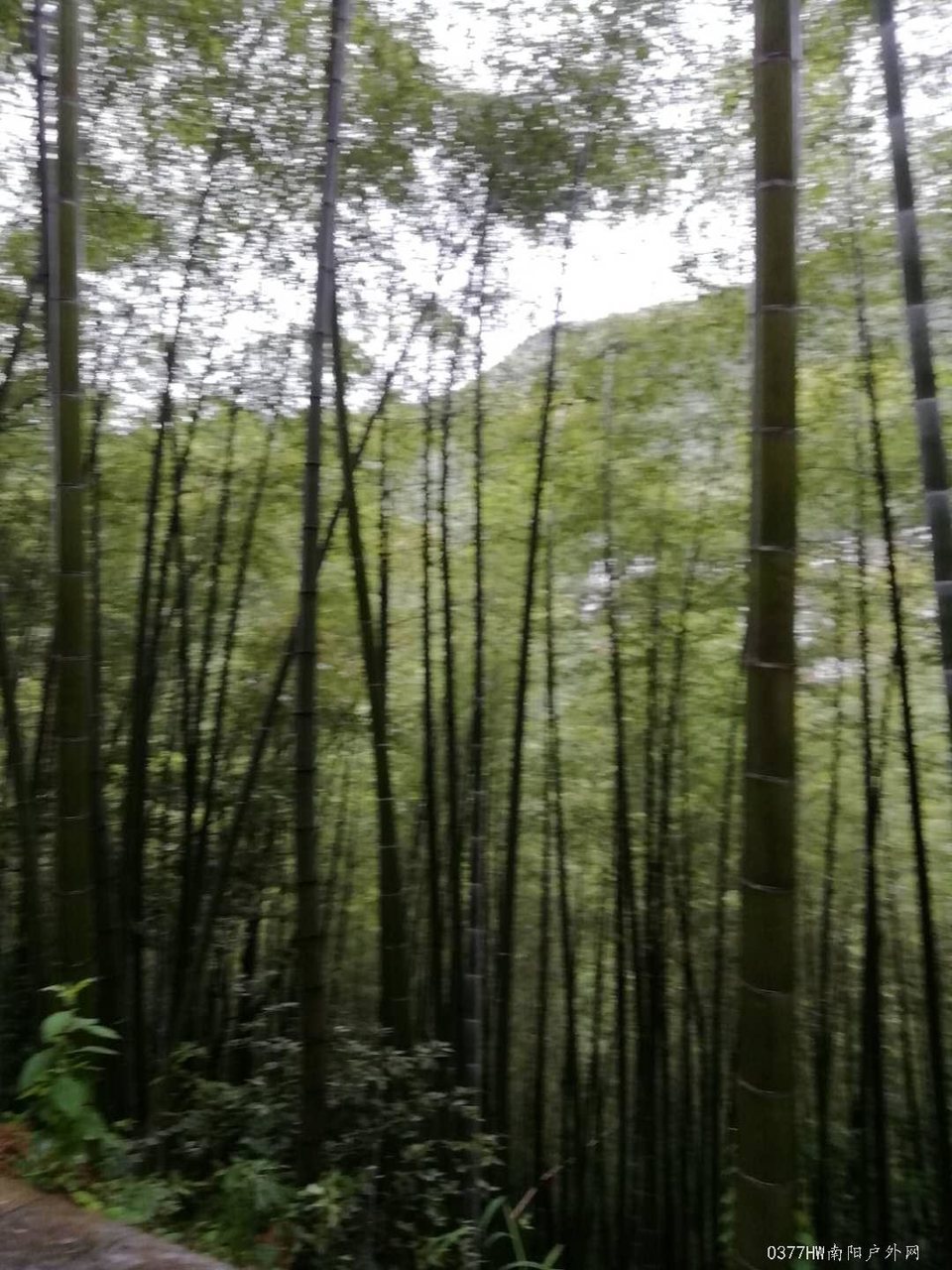 gqsO0oIzL8y7AWsGhLUIpy1UyLlHFlwmmWhFssjtO1FWT7EDRTEj7LmngRjaVyYE