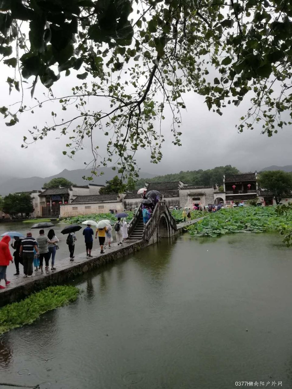 FAs4uubiR1w746Pcd823PMpQO5DC9ihkrSK4bLU8lNwrJL3WkIfYo5ALStgC10sk