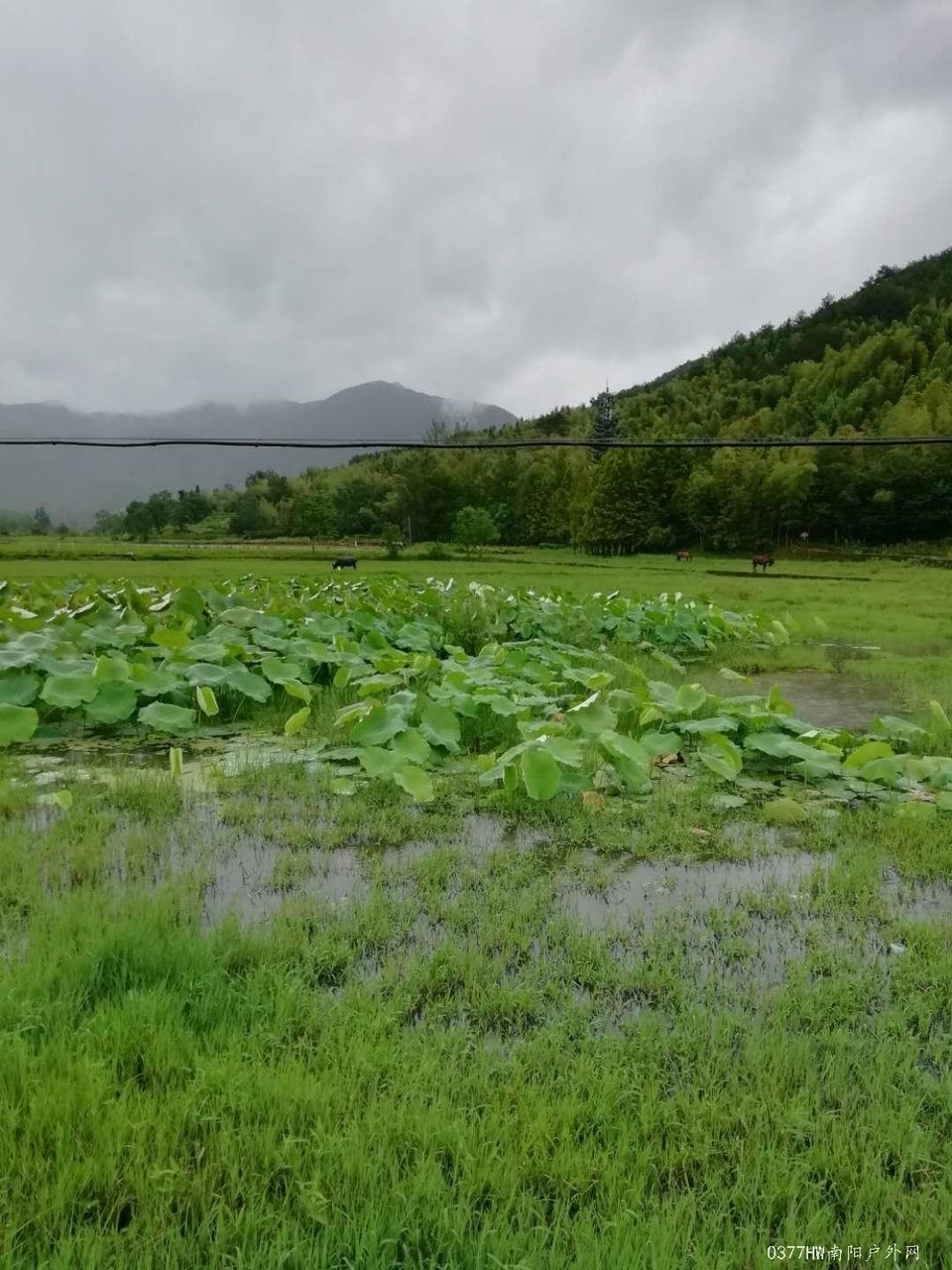 dVpYr-dGRMvovTKbrbkxMw0qQ7CzrQTo9w37xhcDXi1V8YyLbeG3InC4W002pnh3