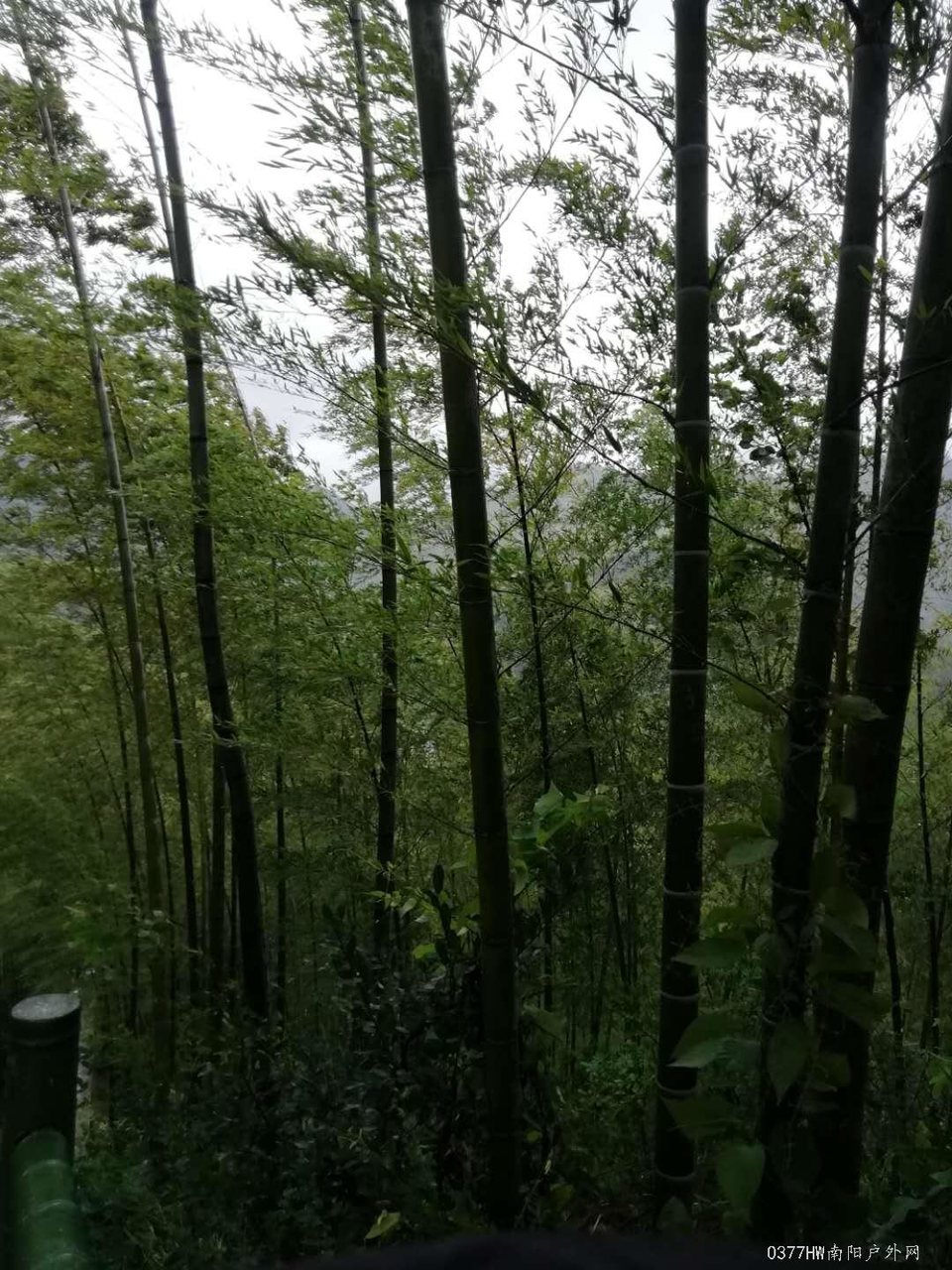 QJX3JlQzJFbxxHobNaJMoylqkVDleQTaax8btInIZU5jR8HLVMUSBzDhkRvAm4UR