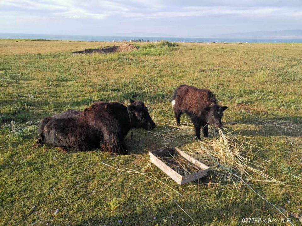 Y-EK1rpMQdaCMJYhrnEboPTtUK9gNo4zmaSl5vJ-0gnlrzG1hj-Ir55HG0EGu2g6