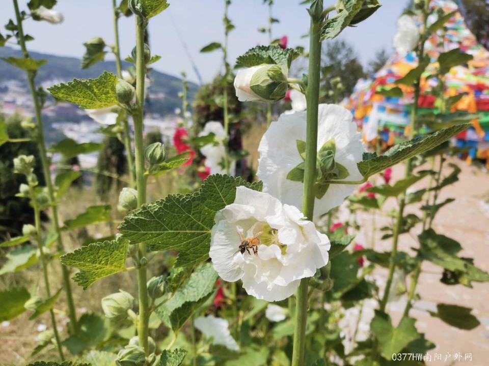 5l7IfKXAQGfe1VO_p1U9bzEuuPC4cvx5V4pfGVK1aFQqpbGX4QWs-Ae0WyFuD6x1